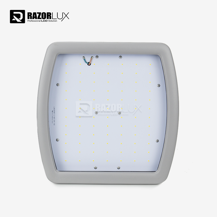 Explosion Proof Luminaire